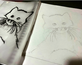 Kitten Process Image 02