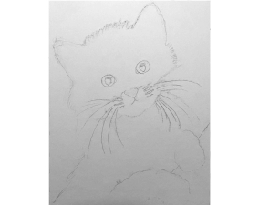 Kitten Process Image 04